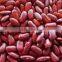 Purple Red kidney beans