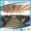 Low price steel structure cow shed warehouse building