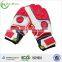 Zhengsheng Classic Youth Soccer Goalkeeper Gloves