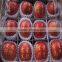 china fresh fuji apples