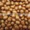 IOPEPC Certification and Raw Processing Type Ground nut