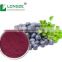 FDA and ISO Certified plant extract manufactuerer supply High-quality Blueberry fruit Powder Vaccinium uliginosum L.