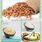 High quality sweet apricot kernels made in china.
