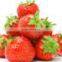 The Strawberry to Disposal