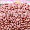 Roasted Peanut with Red Skin
