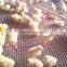 Plastic flat netting, HDPE plastic mesh,Plastic netting,Hex plastic mesh