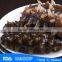 Fresh sea cucumber 100% natural frozen sea cucumber