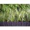 New artificial turf, football turf