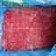 Frozen fruit wholesale grade A/B IQF raspberry