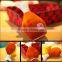 Drumstick shape plush dog toy with squeakers wholesale