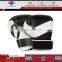 Boxing gear/Boxing gloves
