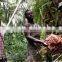 Muti-function Fully Automatic palm oil press machinery used in Africa
