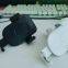 Fast Wireless Car Charger  Perfect For Travel Companion Vertical Mobile
