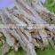 Frozen Dried Bule Whiting Fillet delicious