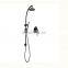 Bathroom Rain Shower Column Set Single Handles with Handheld Sprayer and Stainless Steel Ceiling Shower Heads