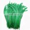 wholesale green dyed rooster tail feathers for yiwu feather