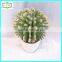 19cm high quality real touch artificial succulent plants tropical plants