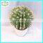 21cm high quality real touch artificial cactus and succulent