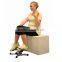 New As Seen On TV home shopping fitness equipment mini stepper twist stepper AB trainer