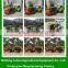 Single Plough with farm tractors for hot sale