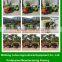 18hp quality mini farm tractor with four wheels