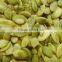 New Crop Shine Skin Pumpkin Seed And Kernel