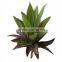 PVC MINI indoor single plastic aloe Artificial succulent plant