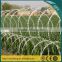 Free Sample Razor Wire Fence with Sharp Blades for Sale (Factory)