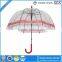 Automatic Straight Heart Print POE Transparent Umbrella With Latest Design