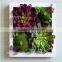 new products 2016 home decoration artificial succulent plants tropical plants