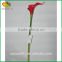 wholesale real touch flower high quality artificial Calla flower