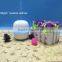 Private Labeling High Performance 100 ml Mini Ultrasonic Air Humidifier Purifier Aroma Diffuser