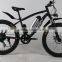 custom 500watt electric bike fat