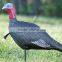 Hnting Decoys , XPE Foam Wild Turkey Decoy,Garden Decorations Goose Decoys