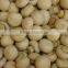 High quality Canned mushroom with best price for sale
