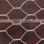 Hexagonal mesh