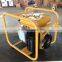 3 inches Robin water pump ptg307