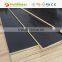 Hardwood formwork 15mm film faced plywood for construction