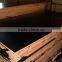 film faced shuttering plywood