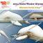 2014 Sochi Winter Olympics Inflatable large dolphin marine animal