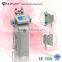 (Hot in Europe) 2015 Advanced Medical CE Approved Fat Freezing Cryolipolysis Machine