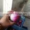 Shandong Onion