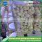 Fresh peeled garlic supplier and exporter