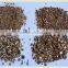 Bulk Gardening Silver Granular Expanded Vermiculite From Factory Price