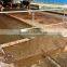 Cow Dung Manure Scraper with German Siemens Control System for Pig,Chicken,Cow,Goat Farm