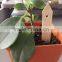 Beautiful Wooden Plant Marker Garden Tools Part