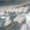 New Condition Industrial Frozen Shell Seafood Blast Quick Freezing Iqf Tunnel Freezer