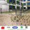 2015 best selling!!3D design Black Powder coated Climber trellis mesh