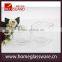 square Clear Glass Vase Flower Pot