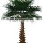 Wholesale fiber glass and plastic palm tree Chinese goods tall palm trees